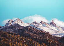 博鱼下载-多位冬奥冠军领衔 中国体育代表团成立大会今日举行